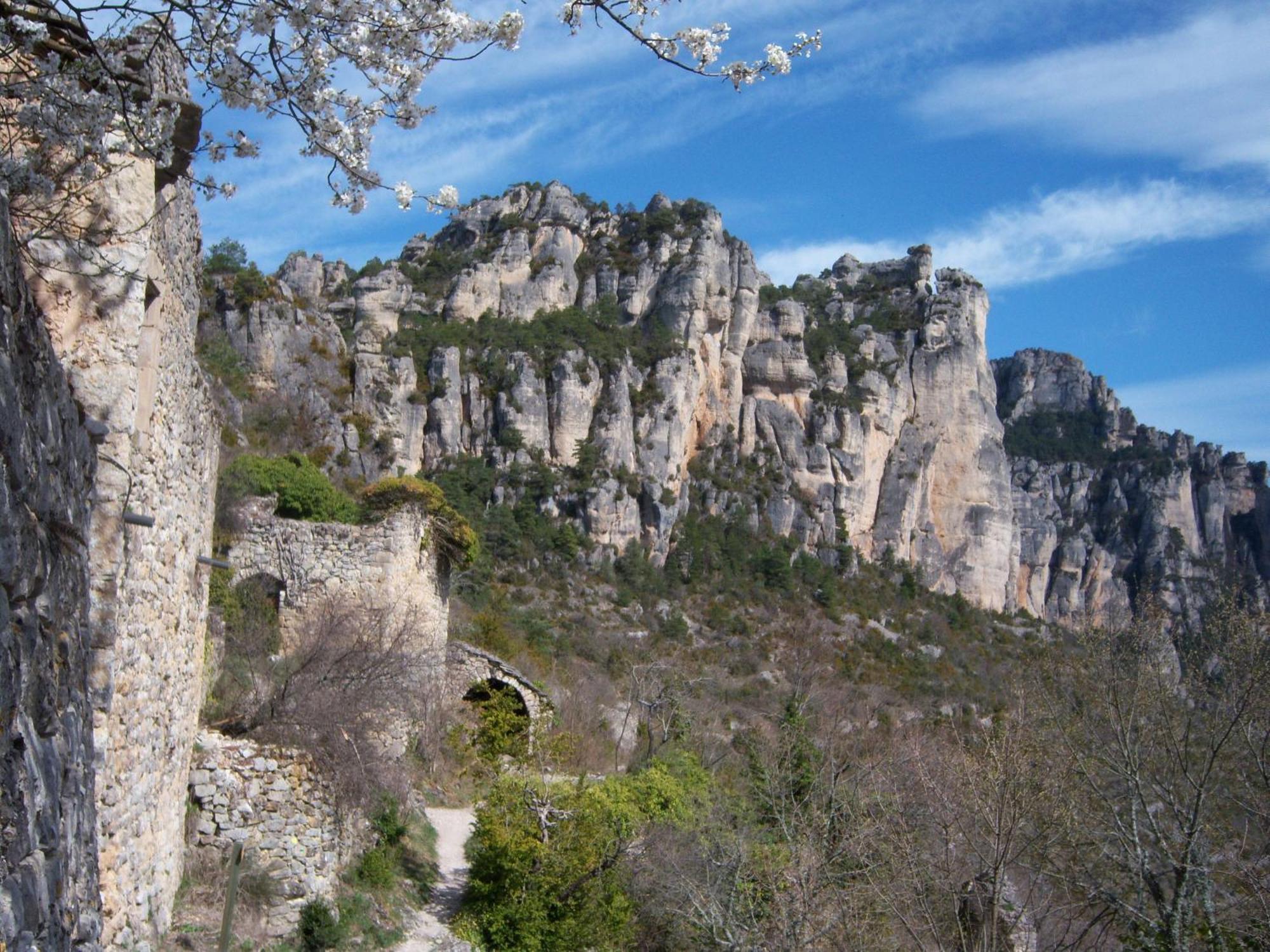 Ermitage De Peyreleau Bed & Breakfast Bagian luar foto