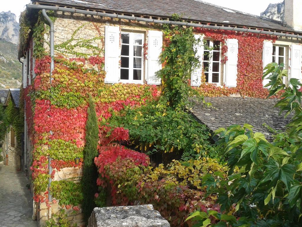 Ermitage De Peyreleau Bed & Breakfast Bagian luar foto