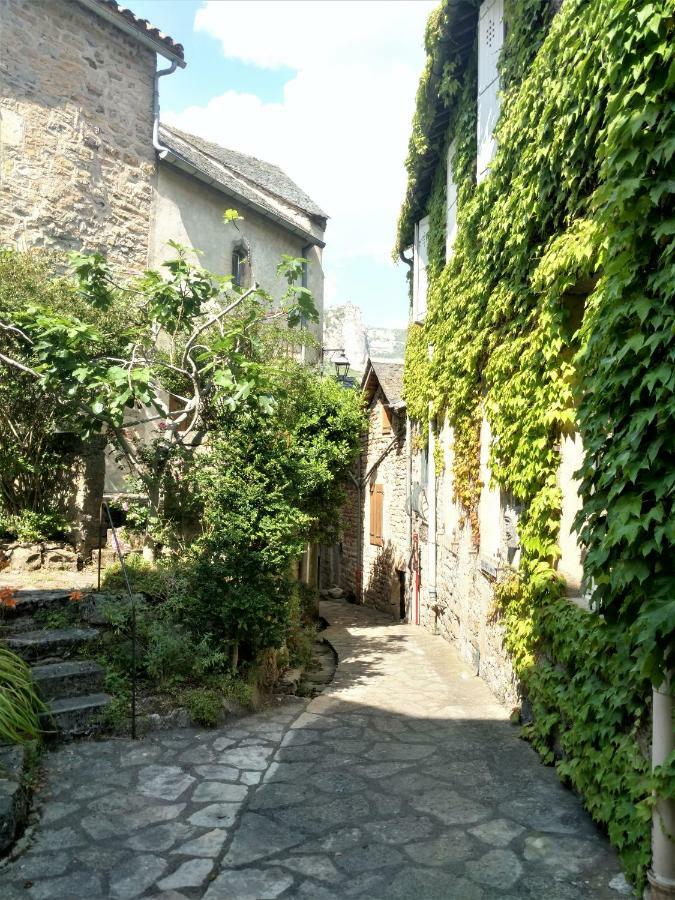 Ermitage De Peyreleau Bed & Breakfast Bagian luar foto